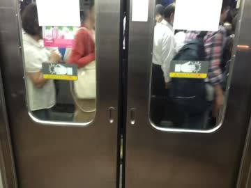 武蔵野線 故障中のドア Nicozon