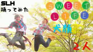 【犬顔】Sweet Lifeを踊ってみた【SLH】