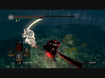 ダークソウル 森で侵入 Nicozon