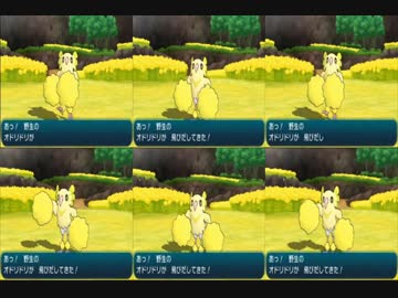 処刑踊り鳥 ストーリーを詳しくお見せするポケモンムーン実況 6 nicozon