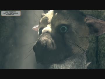 大鷲トリコ トロフィー100 １匹と１人の絆の物語 2 考察解説実況 ニコニコ動画