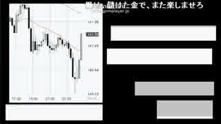 フルフリｆｘ ２９ナンピン両建て往復ビンタ７ 17年01月25日 ニコつい