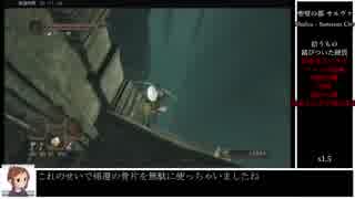 ダークソウル2 トロコンrta Igt12 31 19 Part2 丸太レイピアチャート Nicozon