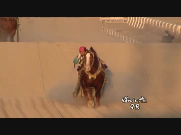 何でも揃う オレノココロ 実使用 蹄鉄 ばんえい競馬 競馬 その他
