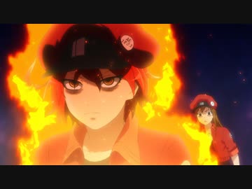 はたらく細胞　第8話「血液循環」