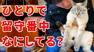 キングダムハーツ Finalmix Nicozon