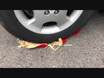 マクドナルドのポテトを車で潰した音 Nicozon