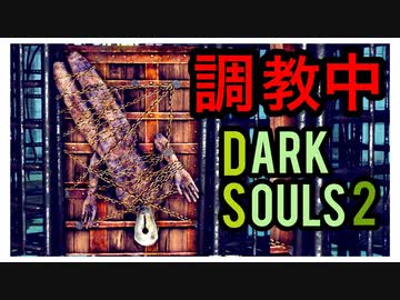 ダークソウル2 君 両手で盾を構えたら最強なんじゃないか 鏡の騎士戦 初見実況プレイ 27 ニコニコ動画