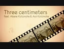 3 Centimeters