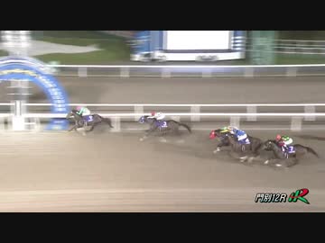 イノセント カップ