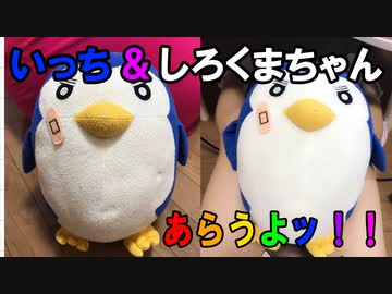 【会員無料】イッチを洗うよ!!( ^ω^)☆*