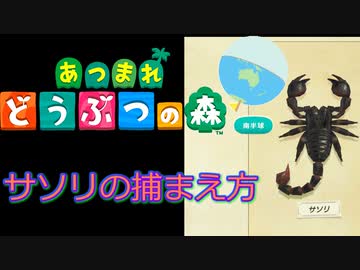 時間 あつ森 サソリ 【あつ森】サソリの捕まえ方｜サソリ島でサソリと戯れてきました