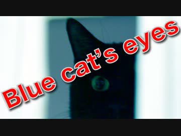 猫との合いの手が絶妙(^_-)-☆人間社会に疲れた魂の叫び!!