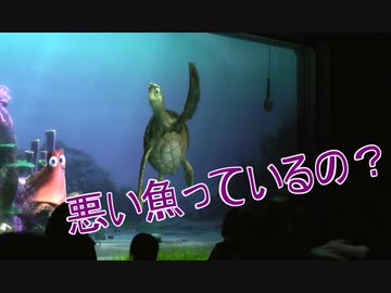 悪い魚っているの タートルトーク 東京ディズニーシー ニコニコ動画