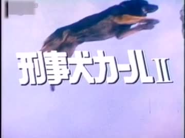 限り シャット 世紀 刑事 犬 カール シェパード indianastateroadrace com