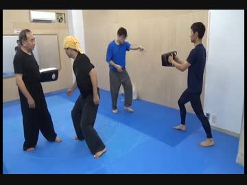 冲捶の間合と角度 八極拳オンラインクラス 第２回スクーリング