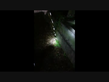 【有馬P失踪#2.5】霊園で手がかりを探せ！デモ田中×ポリスペア編