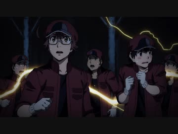 はたらく細胞BLACK 第13話「心筋梗塞、蘇生、変化。」