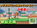 あつまれどうぶつの森　タピオカドリンク持ってコケると・・・大惨事に！？　検証企画！　【あつ森】