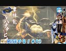 【実況】MHRISEやる！【40】