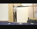 【実験】猫はヒゲのサイズなら本当に通り抜けできるのか？？気になるから実験してみた【夏休み】01