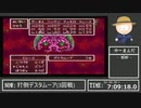 【DQ6初見RTAアーカイブ】コロナで旅行できないから幻の大地をぶらり旅 ~Part13~