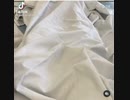 ワクチン接種後の副作用で痙攣してまともに歩けなくなったが、何の補償もないぜ!