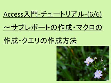 Access入門-チュートリアル-(6/6)－第６回目は、サブレポートの作成、マクロの作成、クエリの作成方法について解説を行っております。
