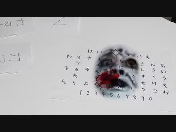 「封印映像58 トウマさん」