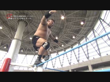 2022/7/18　2022 SUMMER ACTION SERIES　7.18大阪・花博記念公園鶴見緑地 ハナミズキホール　第2試合