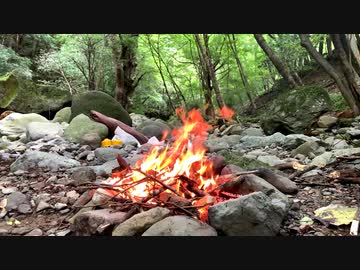 田舎の川でアリゲーターガーを釣って焼いて食う【コレコレ旅行日記】