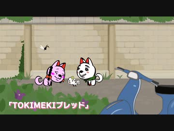 キンタマーニドッグ 第2話「#17～32」