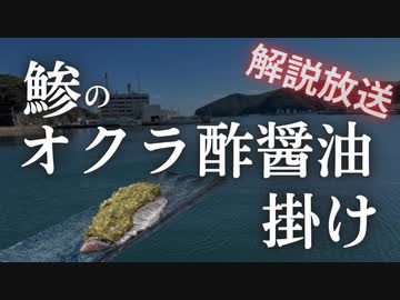 【旬の食材で免疫力と脳機能同時にUP】捌いて刻んで掛けるだけ！鯵のオクラ酢醤油掛け