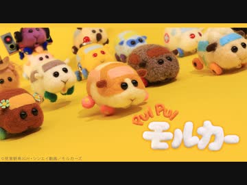 PUI PUI モルカー 第12話「Let’s！ モルカーパーティ！」