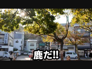 広島２日目〜世界遺産厳島神社へ！！