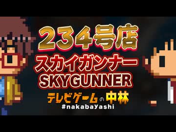 テレビゲームの中林 234号店 スカイガンナー/SKYGUNNER