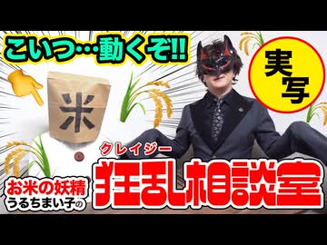 【実写】お米の妖精うるちまい子のクレイジー相談室