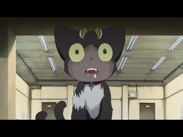 青の祓魔師　特別番外編「クロの家出」