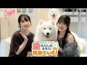 声優 縁かうんと『縁のままに浅草さんぽ！』｜鈴木みのり 花井美春