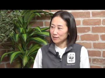 ＜セーブアース＞そのチョコどこから来たのか知っていますか／相馬真紀子氏（WWFジャパン自然保護室森林グループ長）