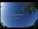 FLYAWAY