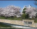 旅立ちの日に【あい】