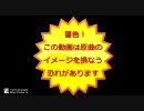 バテン・カイトス通常戦闘曲を３種類全部重ねてみた