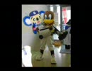 ドアライカ