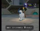 縛りだけどポケモンコロシアム実況　21日目の1