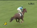 4歳上500万（牝）_リーガルアミューズ