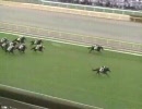ウイニングポスト７２００９＜史実馬オールスター戦＞【FINAL上】