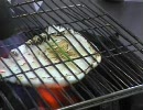 甲いか炙り焼き試作品