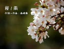 【ボカロとUTAう合唱団】 桜ノ雨 【総勢３６名】