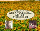 幻想入りノベル】元兵士の何でも屋が幻想入り【八章～後篇～】